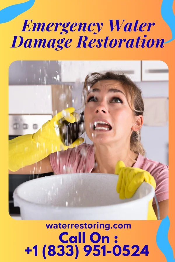 Emergency Water Damage Restoration in Conway, SC