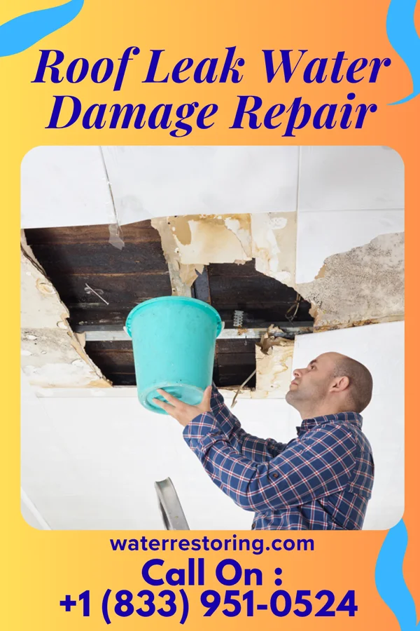 Roof Leak Water Damage Repair in Conway, SC
